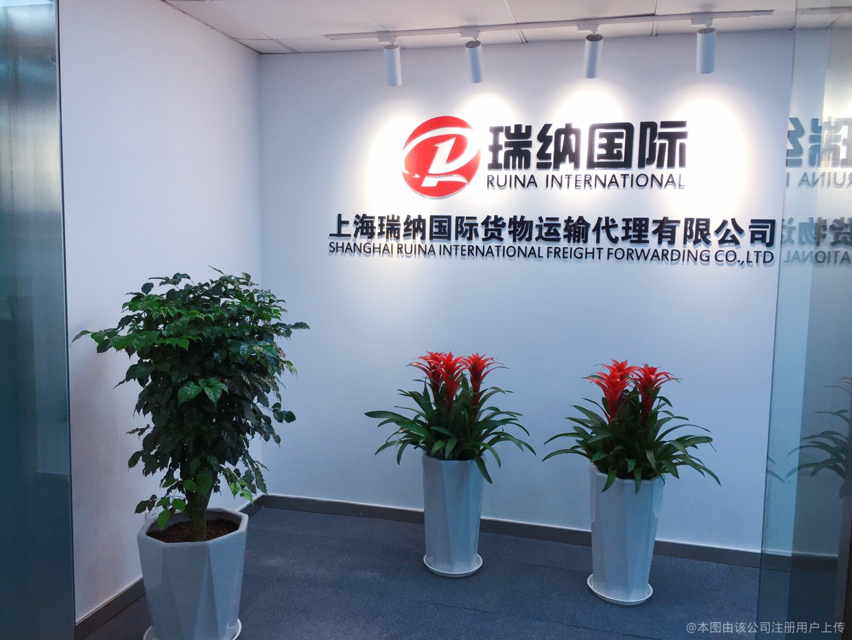探析上海瑞纳国际货运代理的国内运输服务优势与发展